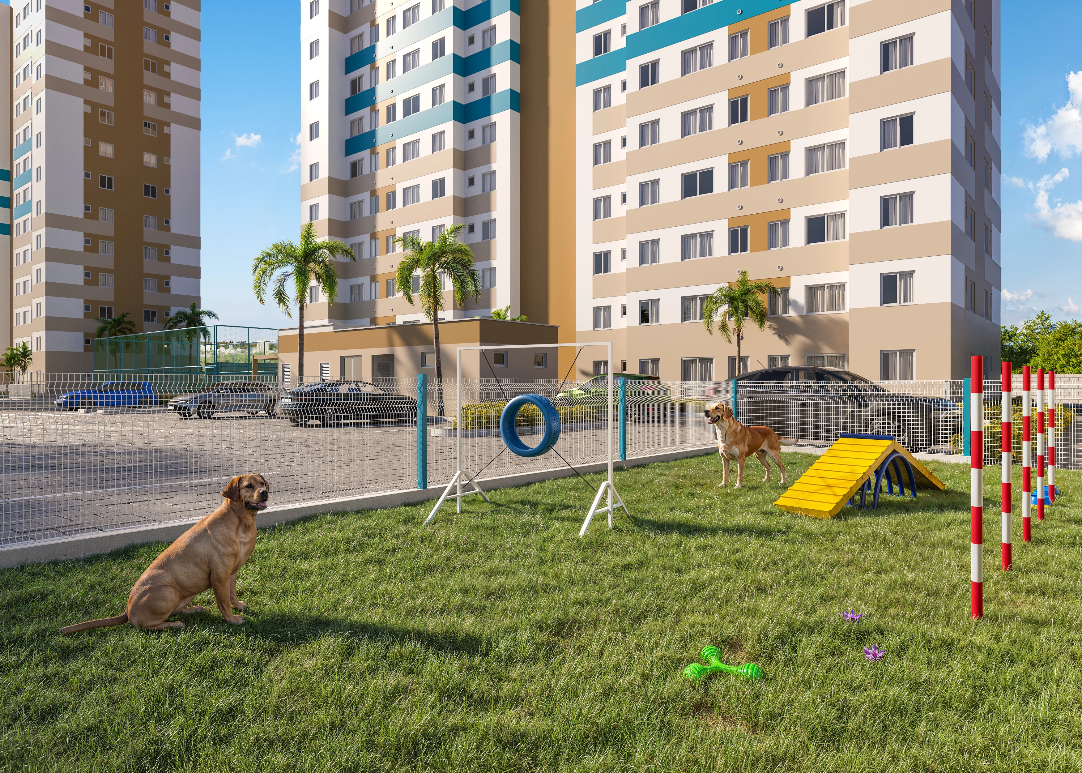 Pet park